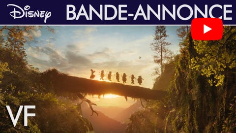 Video Lire la vidéo